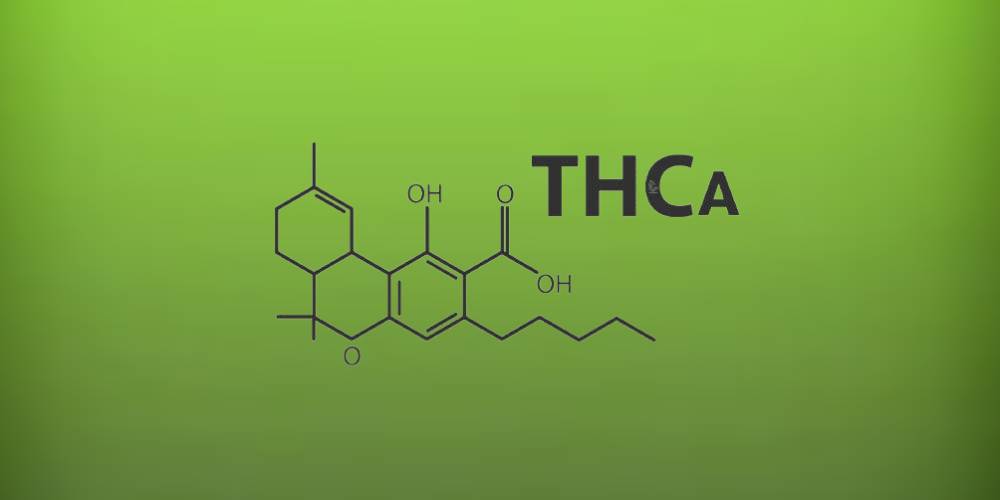 Is THCA Legal? The Legality of Hemp-Derived Cannabinoids