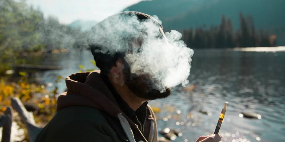 Why Is My Cactus Labs Disposable Vape Not Working? Why Is My Cactus Labs Disposable Vape Not Working?
