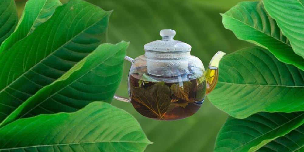 How To Make Kratom Tea