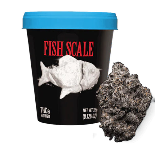 Cookies THC-A Flower Tub - Fish Scale