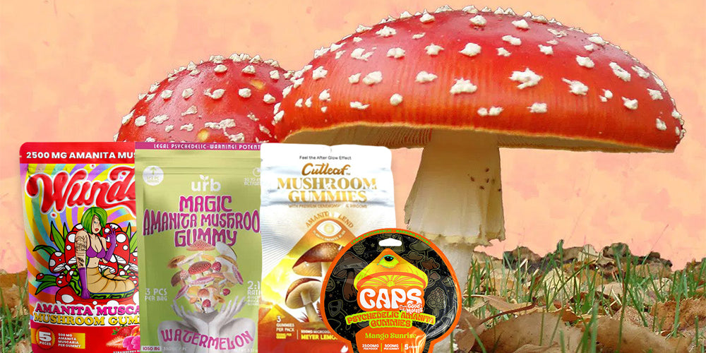 Amanita Muscaria Mushroom Gummies