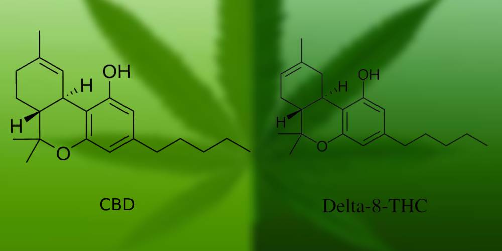 Delta-8 THC vs. CBD: Which is Right for You?