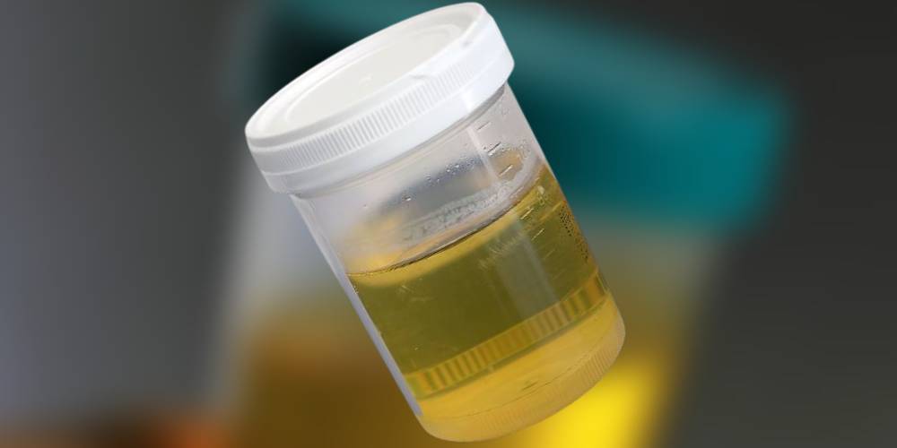 How Long Does Kratom Stay In Your System