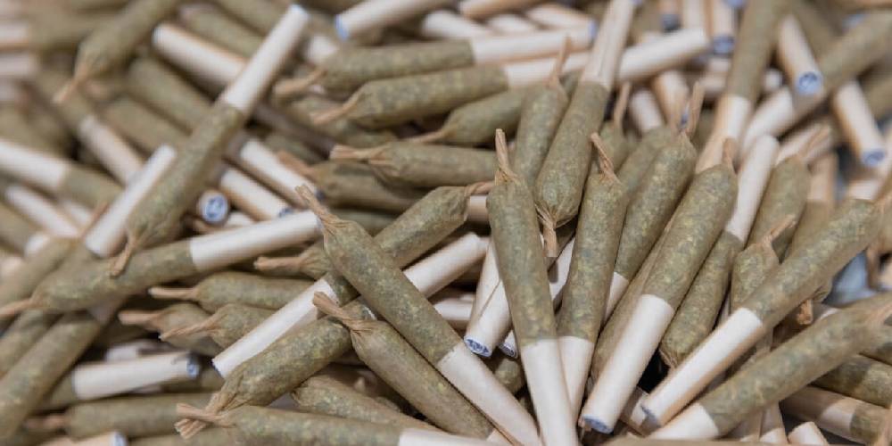 Top THCA Pre-Rolls & Hash Holes: What to Expect (Smoothness, Burn, Strength)