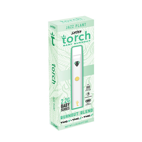 Torch Baby Burnout Jazz Plant