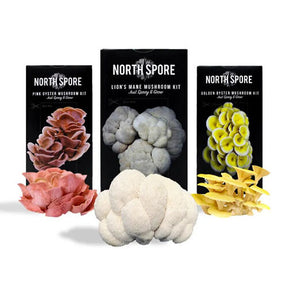 North Spore Spray and Grow Mushroom Growing Kit