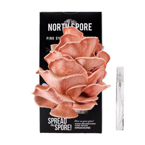 Pink Oyster Mushroom Spray and Grow Kit